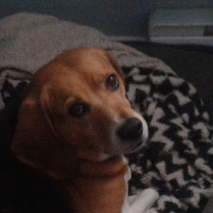 Meet your Posher, Frederick